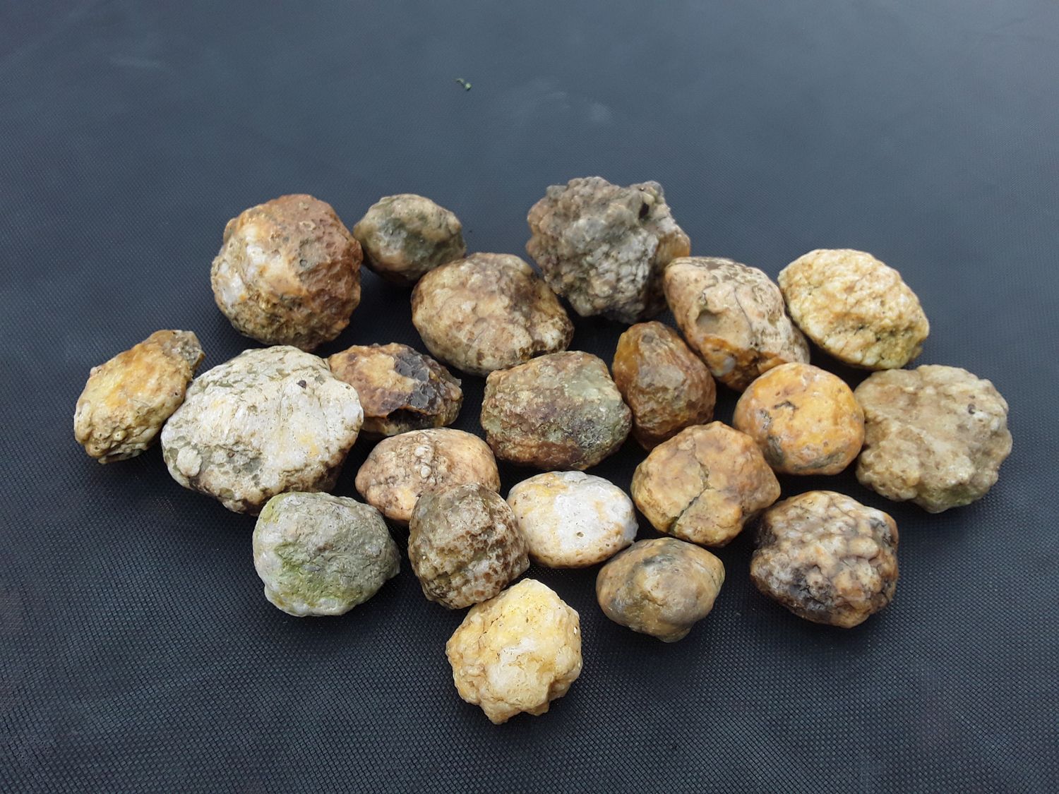 Kentucky Whole Geodes By The Pound Personalized Orders, You Approve Before I Ship It, Customer Satisfaction Guaranteed