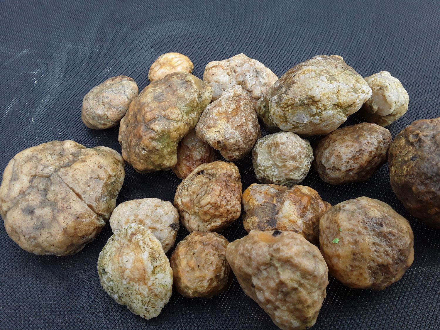 Kentucky Whole Geodes By The Pound Personalized Orders, You Approve Before I Ship It, Customer Satisfaction Guaranteed