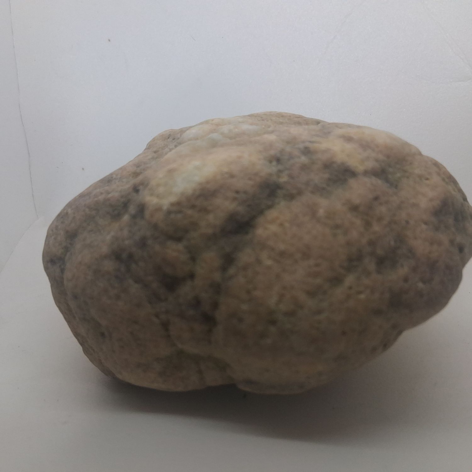 Small Kentucky Geodes Whole Unaltered Natural Crystal Formations