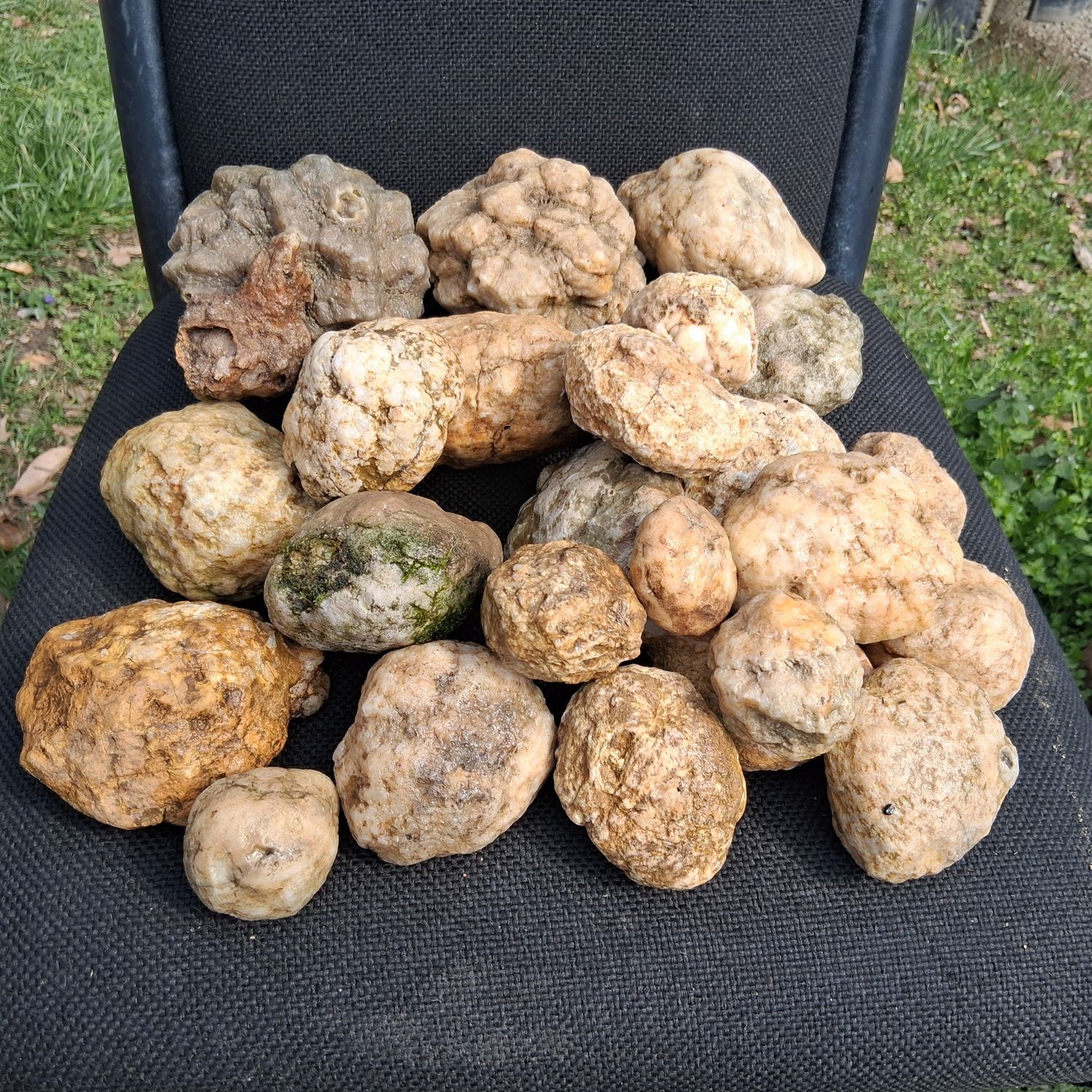 Small Kentucky Geodes Whole Unaltered Natural Crystal Formations