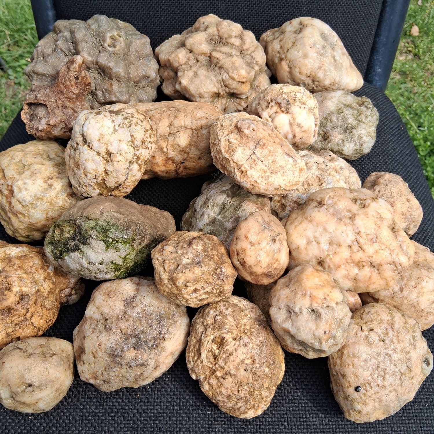 Small Kentucky Geodes Whole Unaltered Natural Crystal Formations