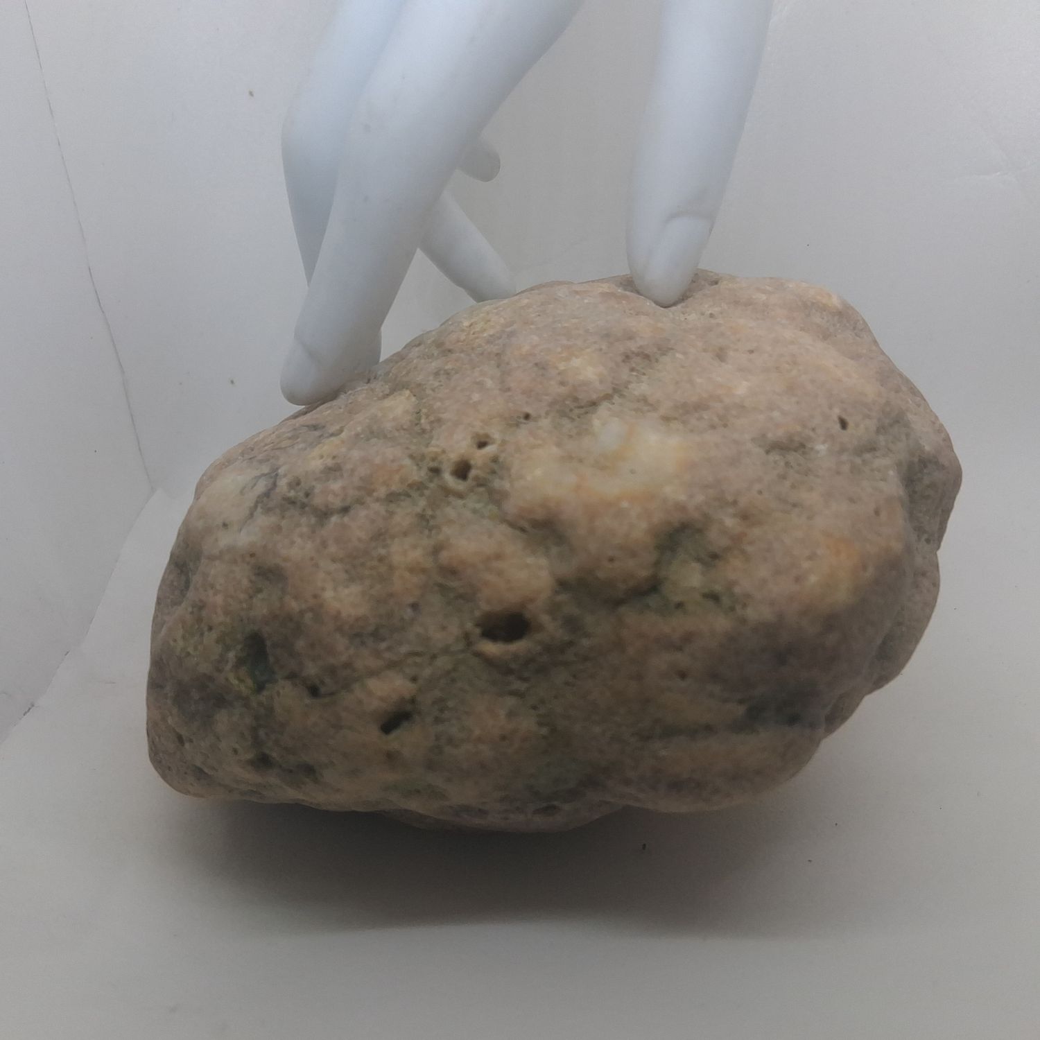 Small Kentucky Geodes Whole Unaltered Natural Crystal Formations