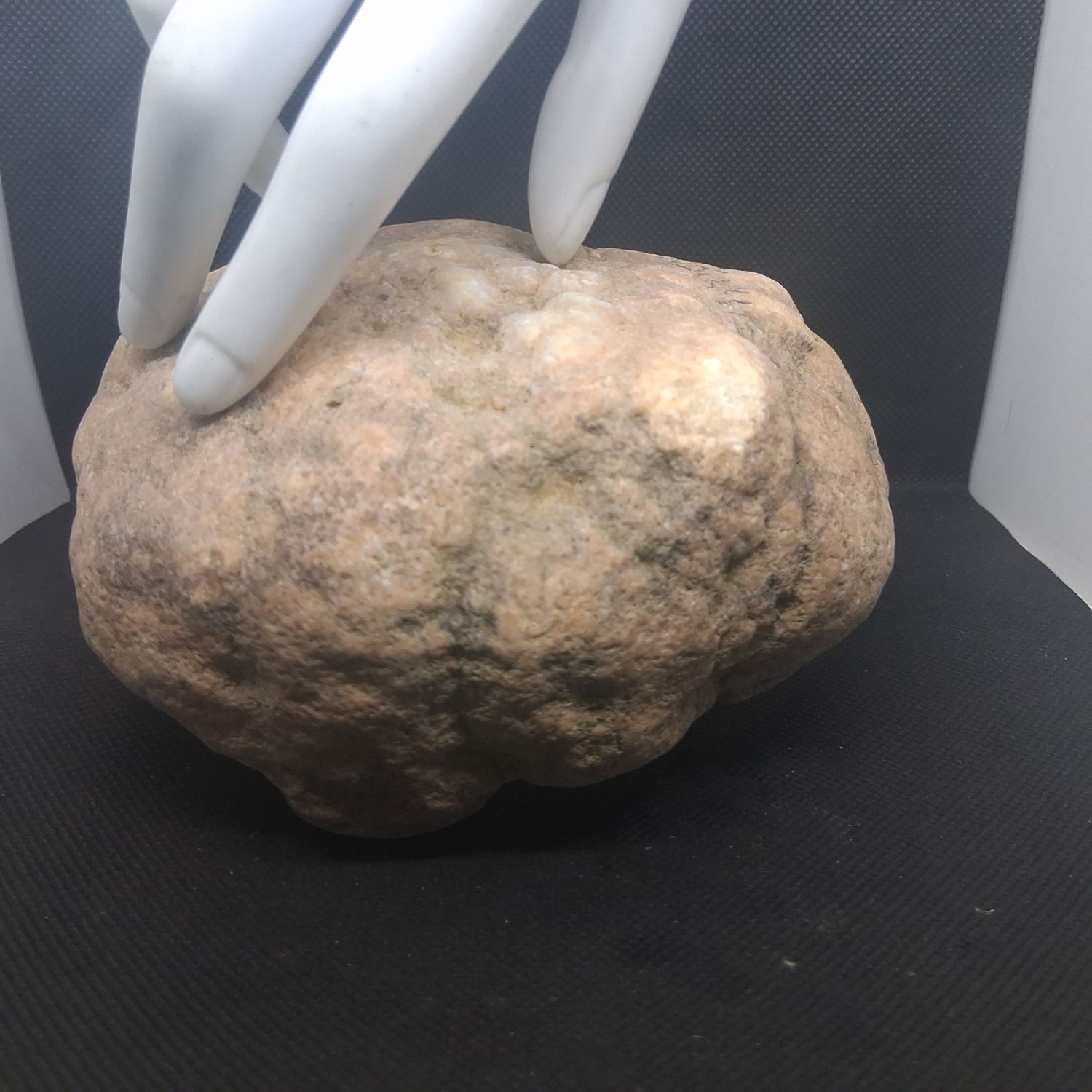 Small Kentucky Geodes Whole Unaltered Natural Crystal Formations