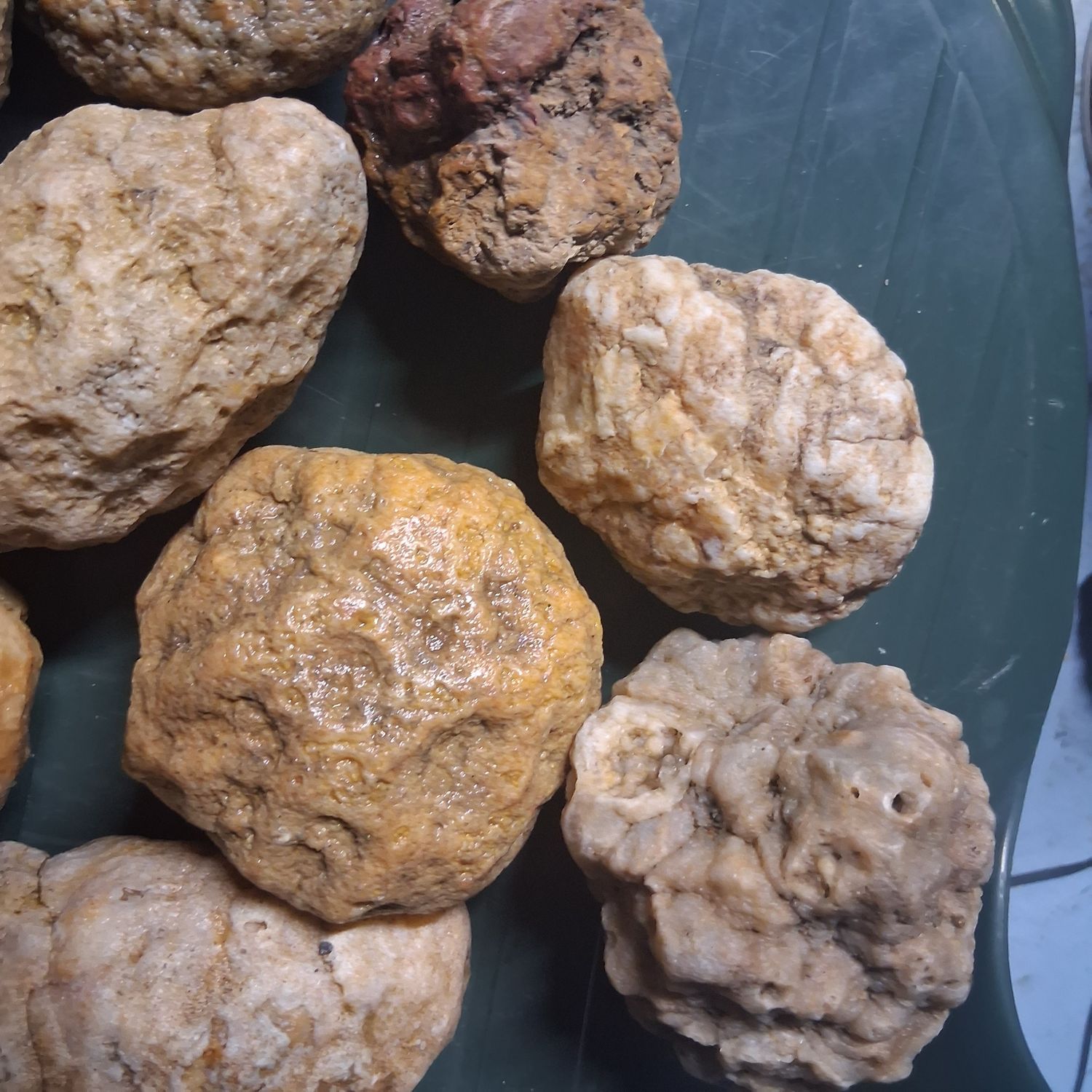 Small Kentucky Geodes Whole Unaltered Natural Crystal Formations