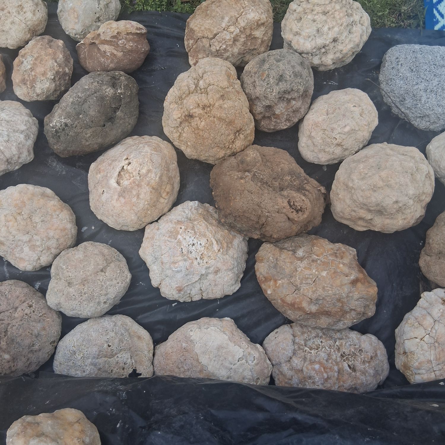 Small Kentucky Geodes Whole Unaltered Natural Crystal Formations