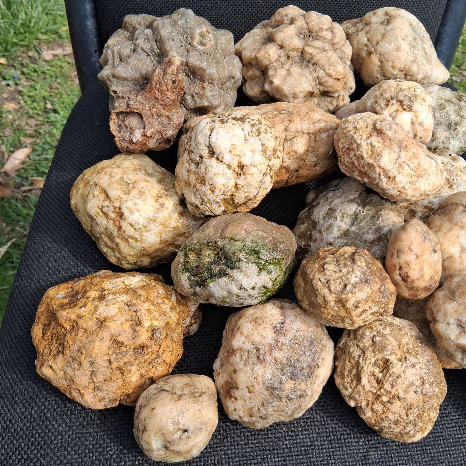 Small Kentucky Geodes Whole Unaltered Natural Crystal Formations
