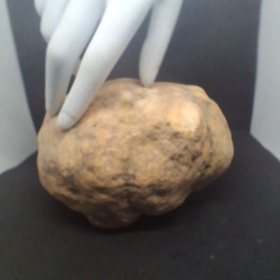 Small Kentucky Geodes Whole Unaltered Natural Crystal Formations