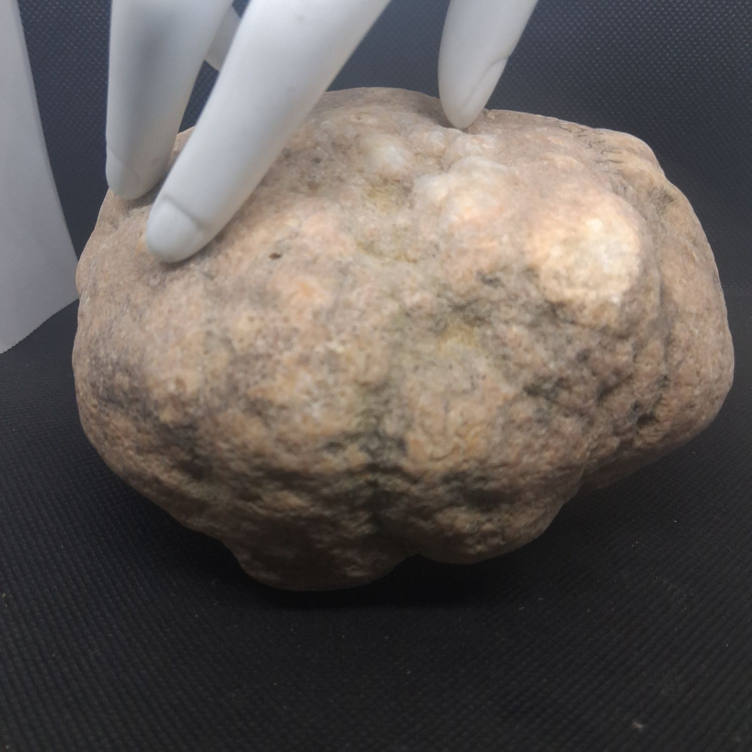 Small Kentucky Geodes Whole Unaltered Natural Crystal Formations