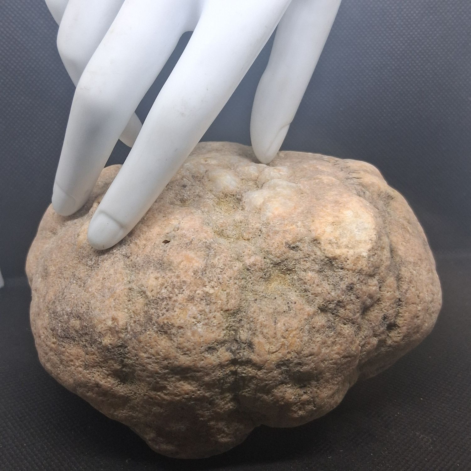 Small Kentucky Geodes Whole Unaltered Natural Crystal Formations