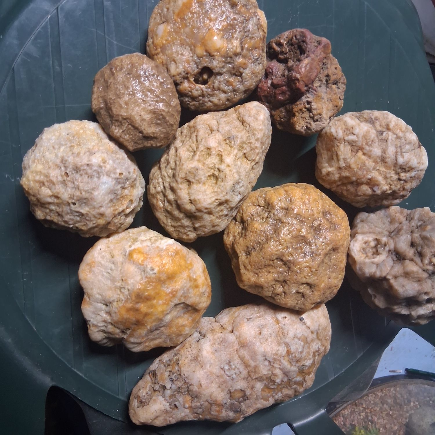 Small Kentucky Geodes Whole Unaltered Natural Crystal Formations