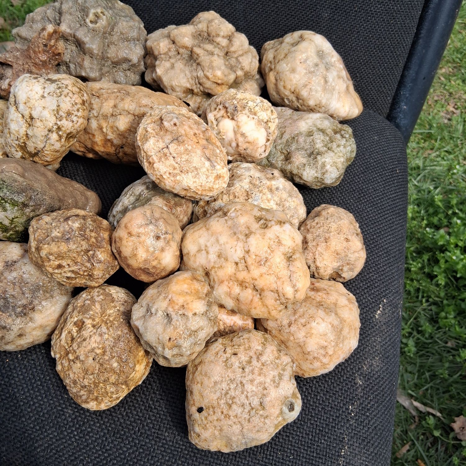 Small Kentucky Geodes Whole Unaltered Natural Crystal Formations