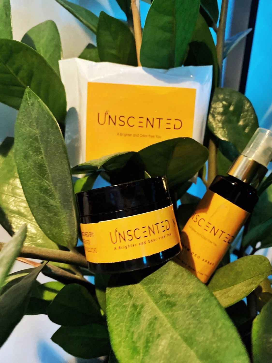 UNSCENTED Underarm Care Set (Christmas Sale)