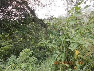 LOTE: 746 / LOTE DE TERRENO UBICADO EN COLONIA BIG BIGHT JOSE SANTOS GUARDIOLA