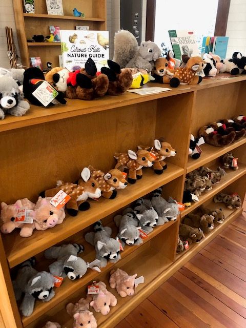 Stuffed Animals