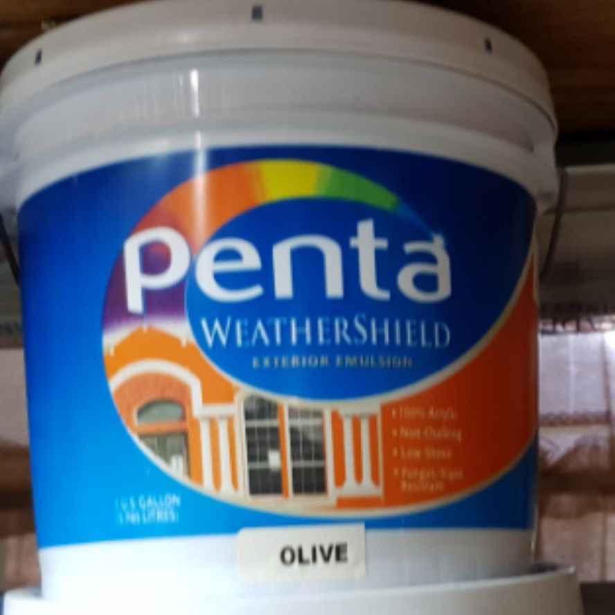 Olive - Weather Shield