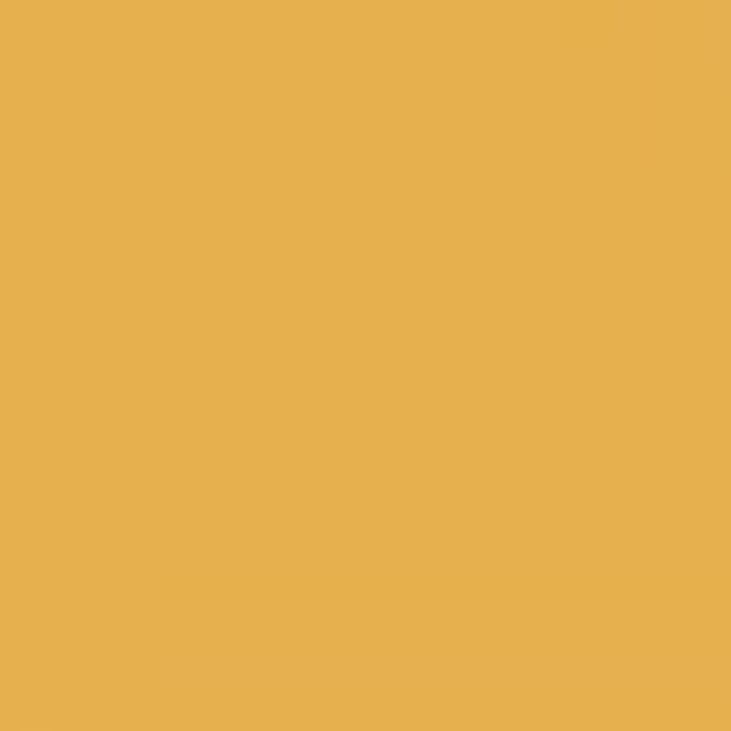 Golden Vista - Gal - Economy Emulsion (Interior) - Trinity