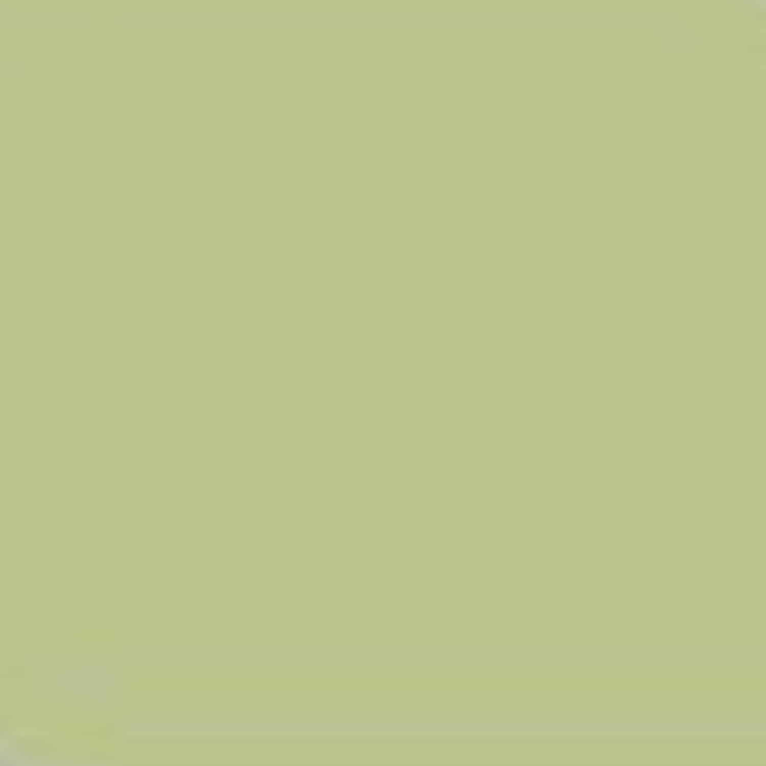Pastel Green - Gal - Economy Gloss - Trinity