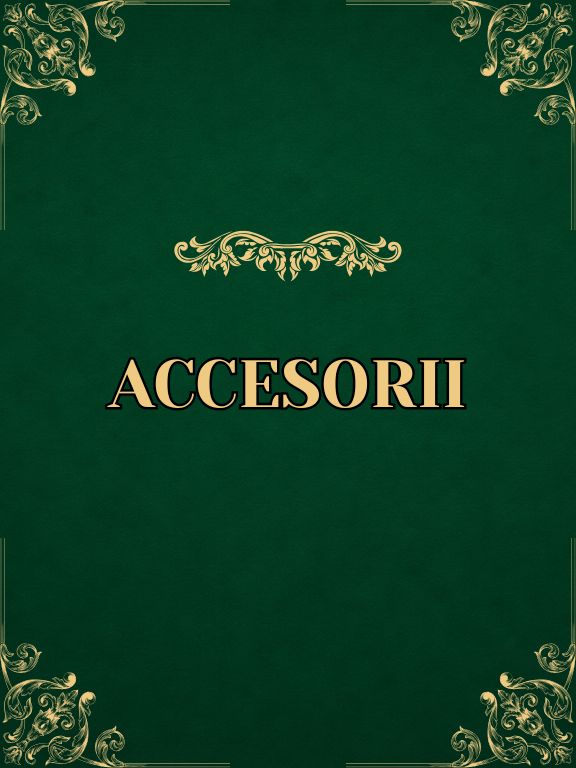ACCESORII