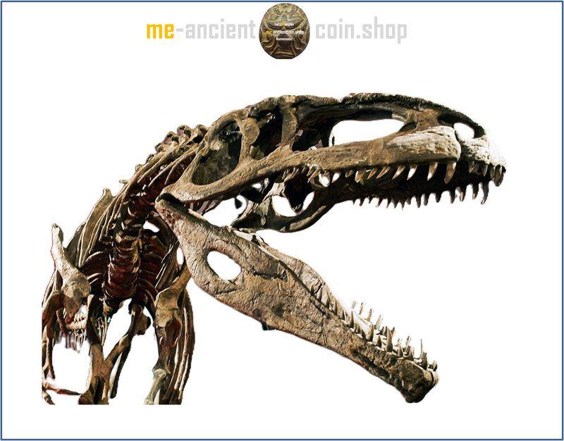 Kem Kem Beds, Taouz, big Carcharodontosaurus saharicus​ tooth 70mm