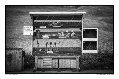 2010-08-20-0058 - Guernsey, Vale - Formaat 3 x 2