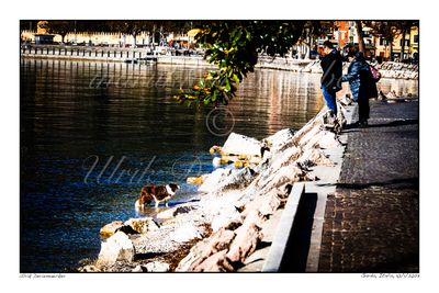 2023-01-10-0084 - Italië, Garda - Formaat 3 x 2