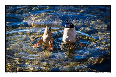 2023-01-10-0061 - Italië, Garda - Formaat 3 x 2