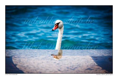 2024-04-16-0040 - Italië, Lazise - Formaat 3 x 2