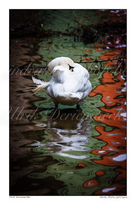 2024-01-10-0045 - Italië, Garda - Formaat 2 x 3