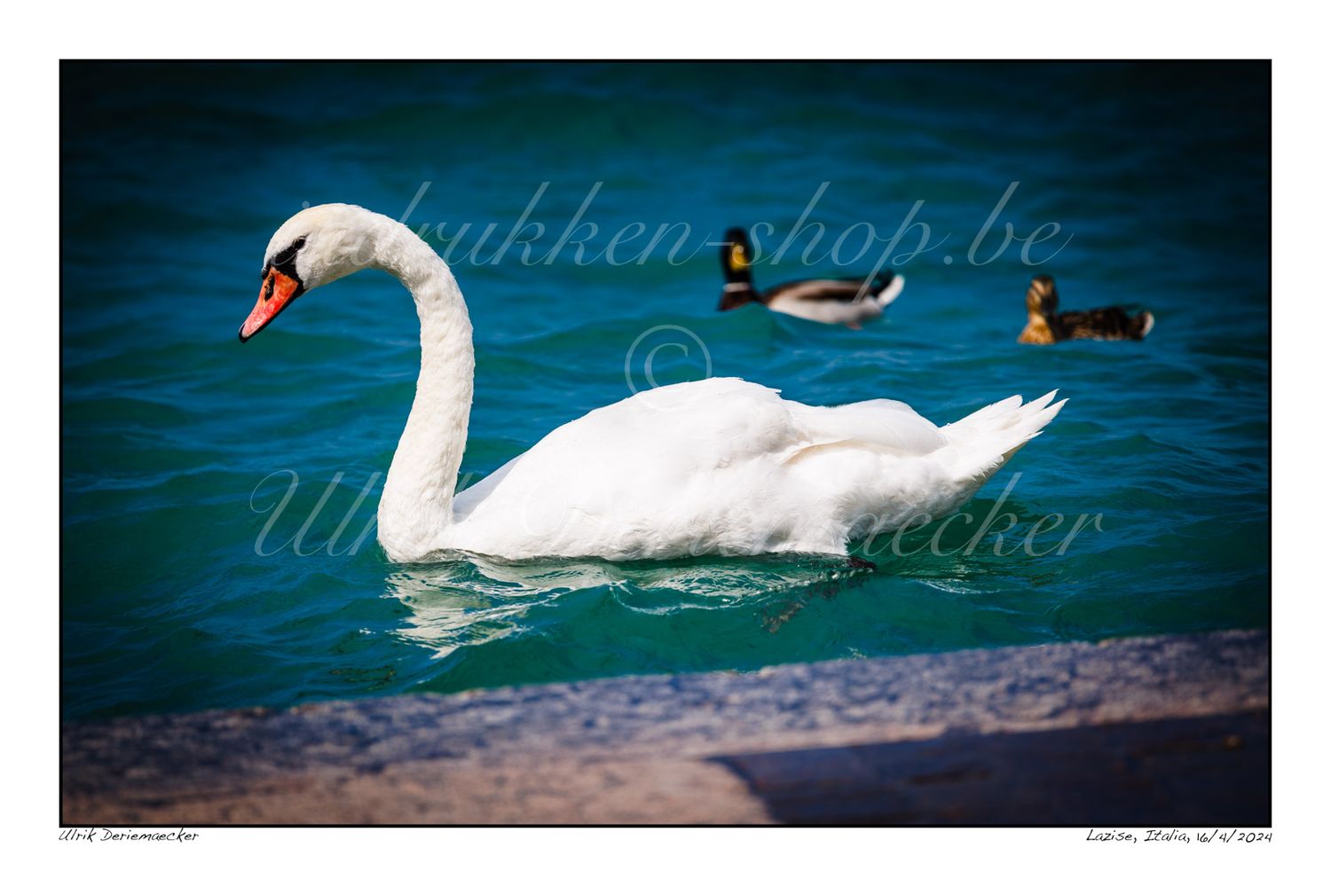 2024-04-16-0019 - Italy, Lazise - 3x2 big