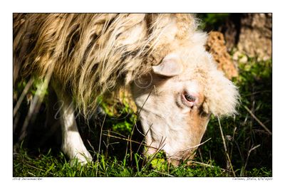 2022-11-09-0090 - Italy, Celleno - 3x2 big 2022-11-09-0090 - Italy, Celleno - 3x2 big