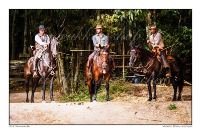 2023-09-17-0082 - Italie, Velletri - 3x2 grand