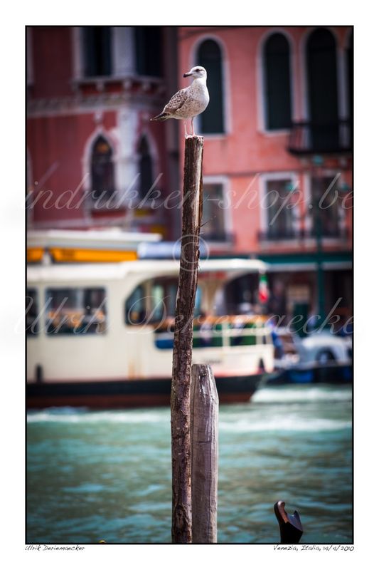 2010-04-14-0069 - Italie, Venise - 2x3 grand