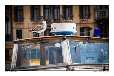 2010-04-14-0081 - Italie, Venise - Format 3 x 2