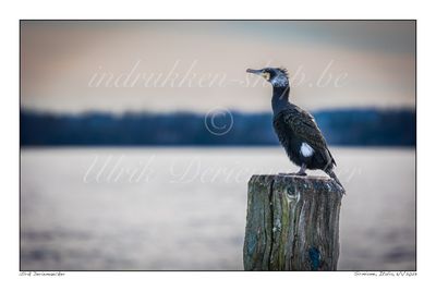 2023-01-11-0074 - Italië, Sirmione - Formaat 3 x 2