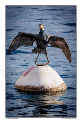 2023-01-12-0048 - Italië, Salò - Formaat 2 x 3