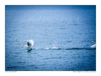 2025-09-08-0067 - Italië, Anguillara Sabazia - 4x3 groot