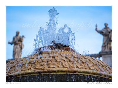 2025-09-07-0157 - Italië, Rome(Hoofdstad) - 4x3 groot