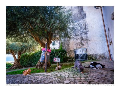 2025-08-19-0047 - Italië, San Felice Circeo - 4x3 klein