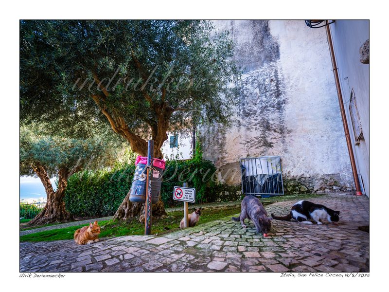 2025-08-19-0047 - Italie, San Felice Circeo - 4x3 petit 2025-08-19-0047 - Italie, San Felice Circeo - 4x3 petit