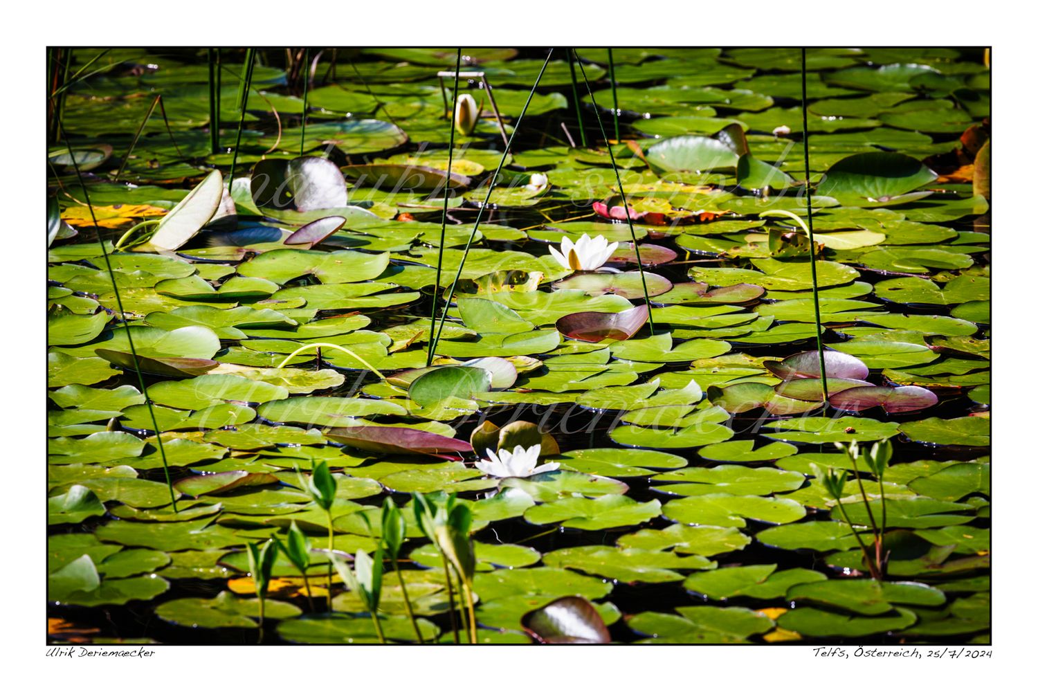 2024-07-25-0065 - Autriche, Telfs - 3x2 petit
