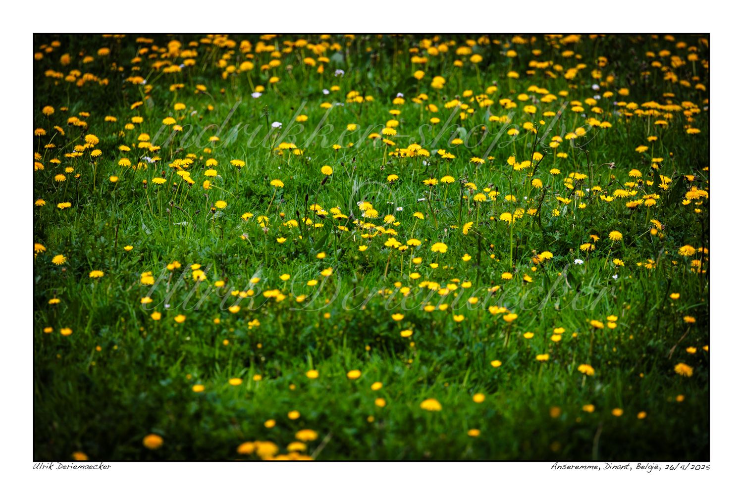 2025-04-26-0027 - Belgique, Dinant(ville) - 3x2 petit