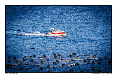 2024-08-06-0171 - Italy, Portovenere - 3x2 small 2024-08-06-0171 - Italy, Portovenere - 3x2 small