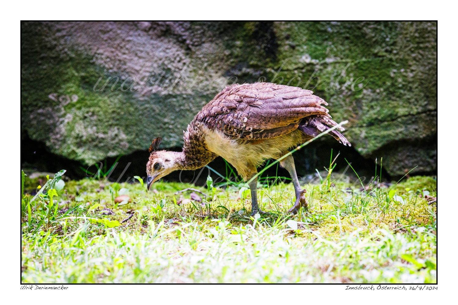 2024-07-26-0053 - Autriche, Innsbruck - 3x2 petit