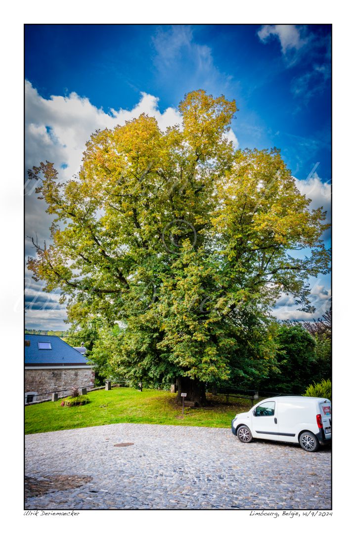 2024-09-14-0026 - België, Limbourg - 2x3 klein