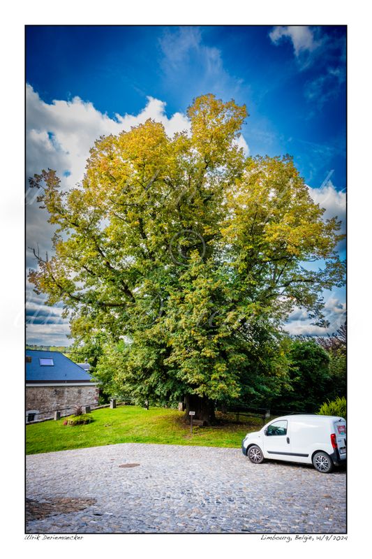 2024-09-14-0026 - België, Limbourg - 2x3 klein