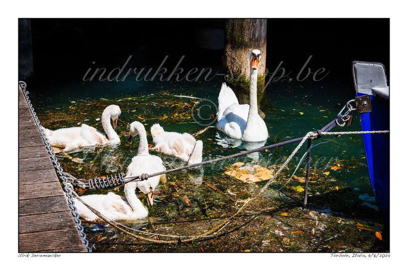 2024-08-09-0050 - Italie, Torbole - 3x2 petit