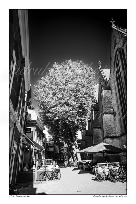 2024-07-17-0027 - Pays-Bas, Gouda - 2x3 petit