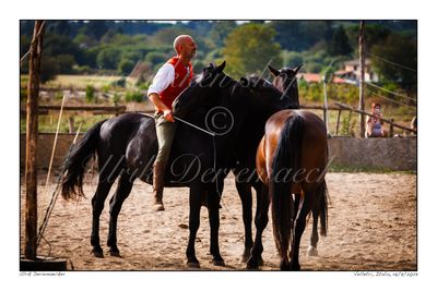 2023-09-17-0322 - Italië, Velletri - 3x2 klein
