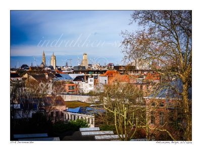 2026-01-21-0055 - Belgique, Anvers(ville) - 4x3 grand