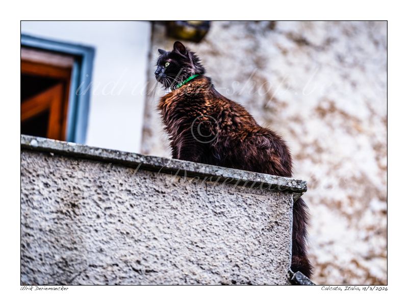 2026-03-19-0088 - Italie, Calcata - 4x3 petit